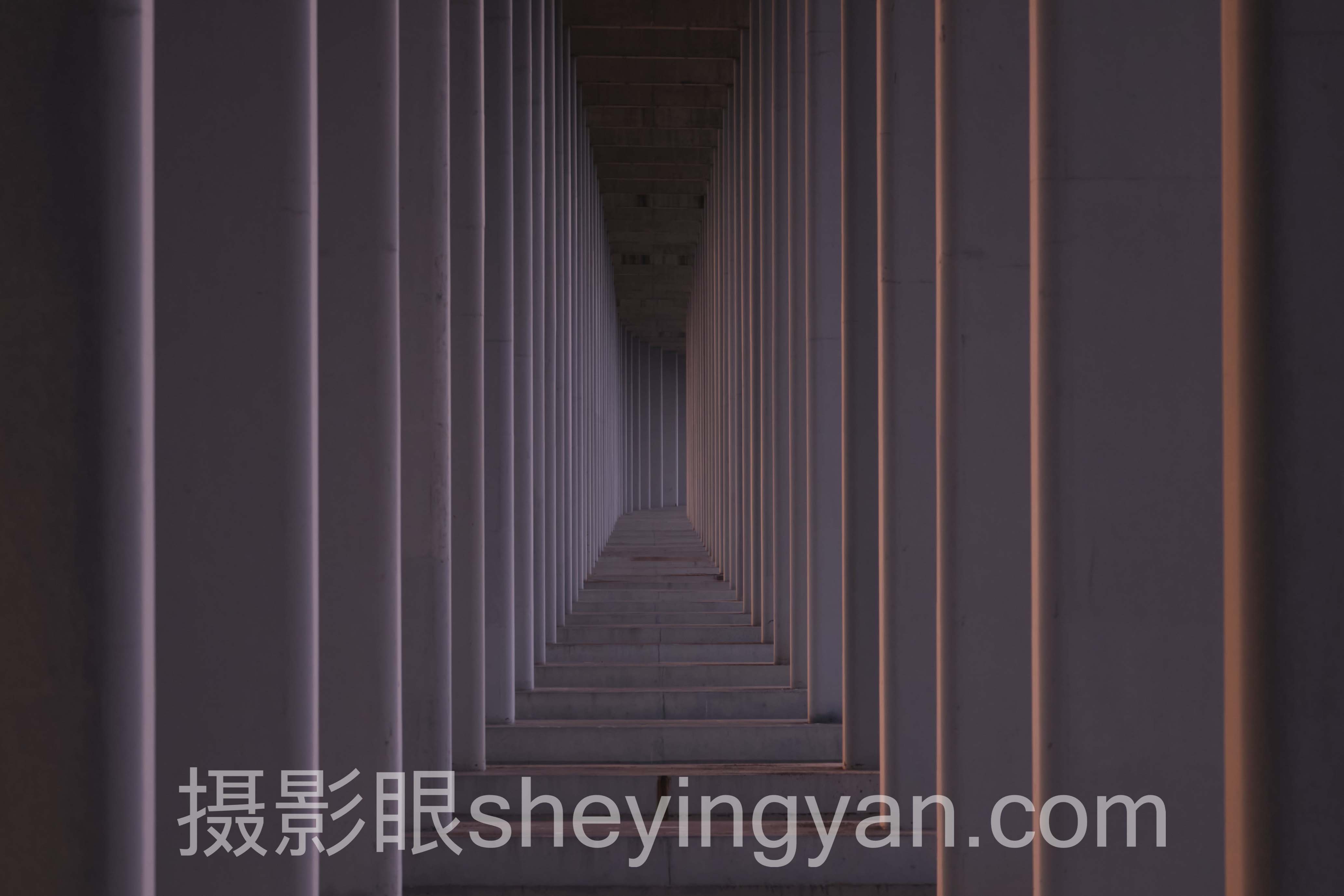 摄影审美网站推荐十人谈：多位专家的核心观点汇总