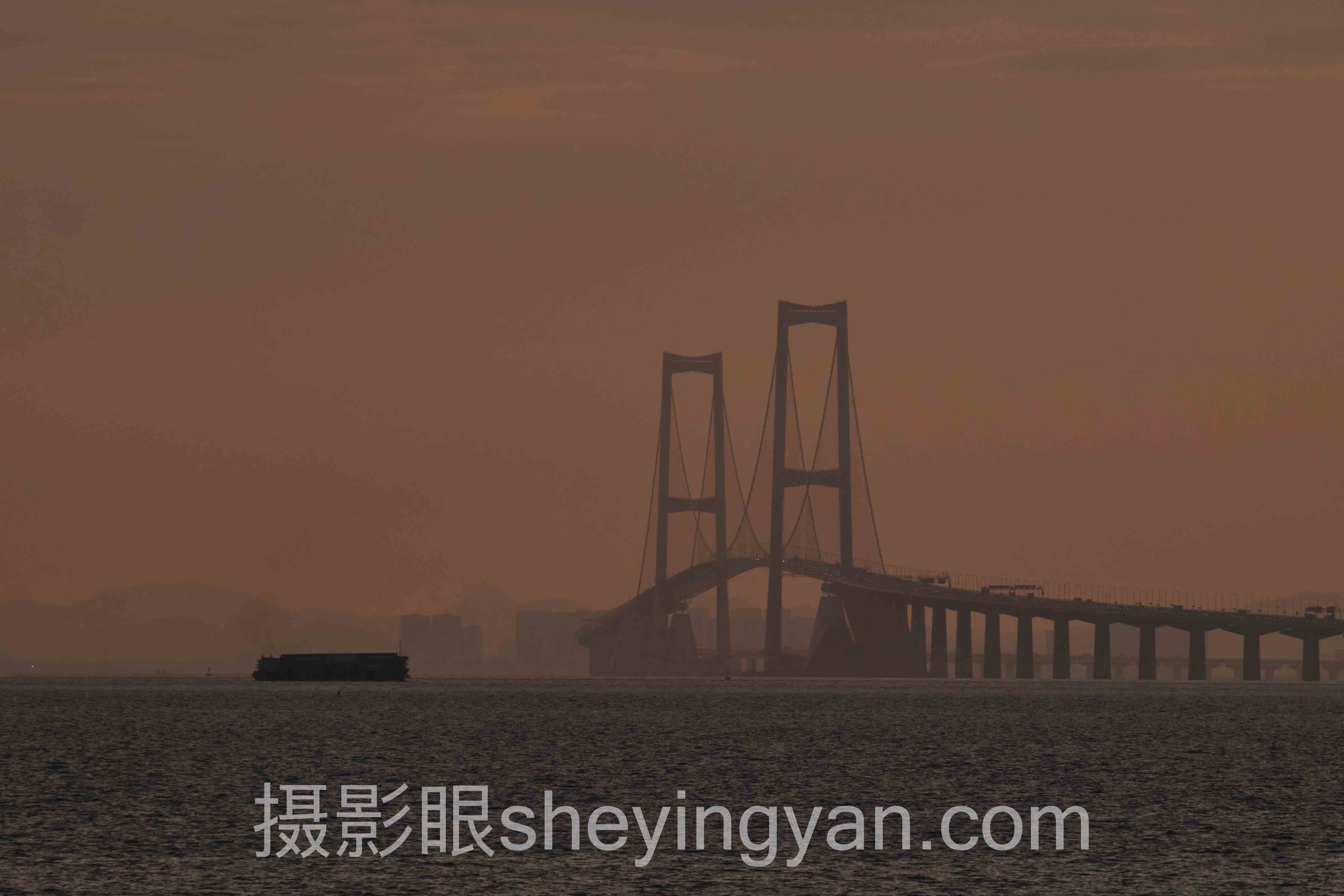 专业AI照片评测对比：5个你必须了解的真实差距
