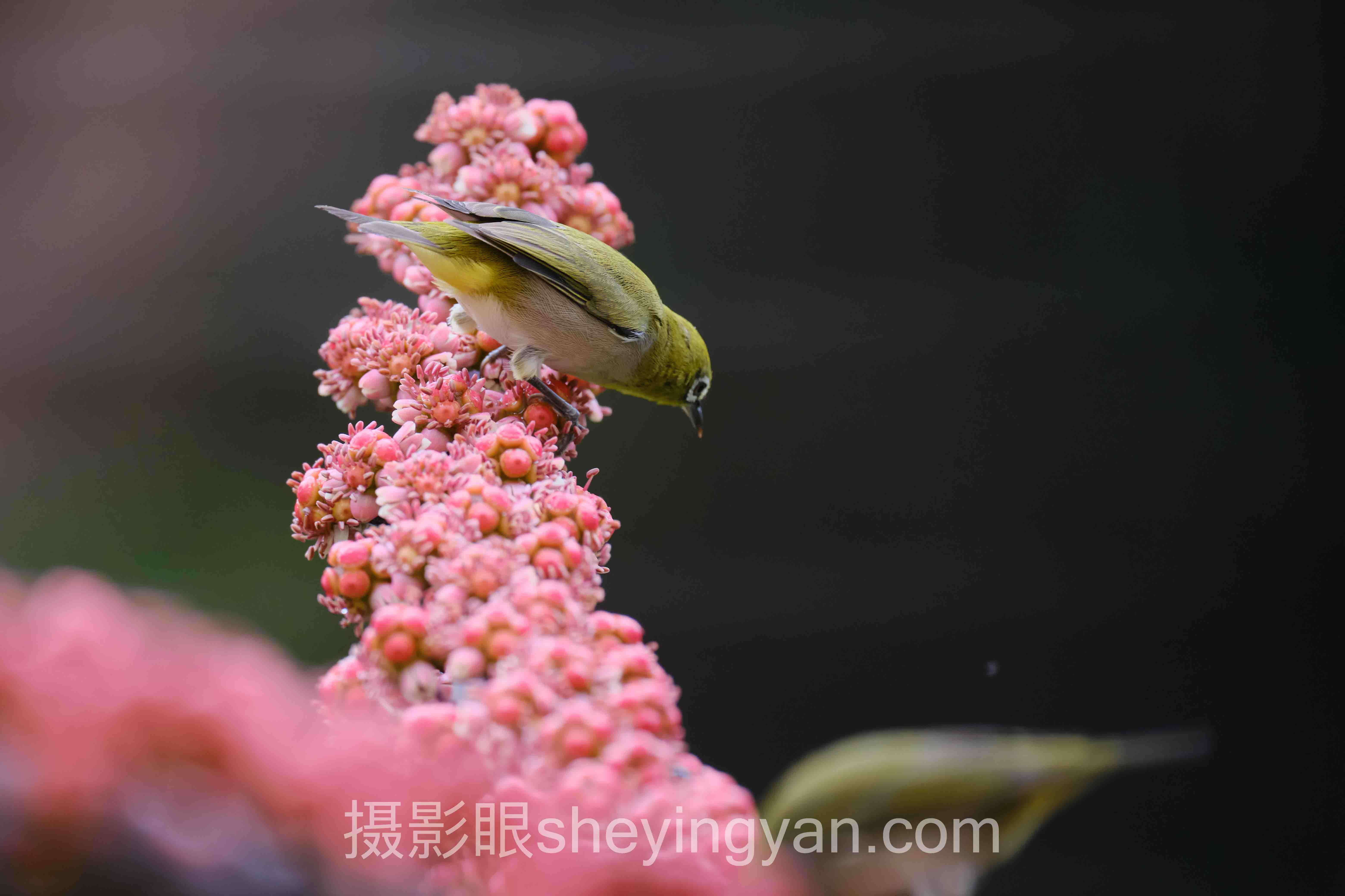 深度解析：北京摄影新手入门培训的核心问题与答案