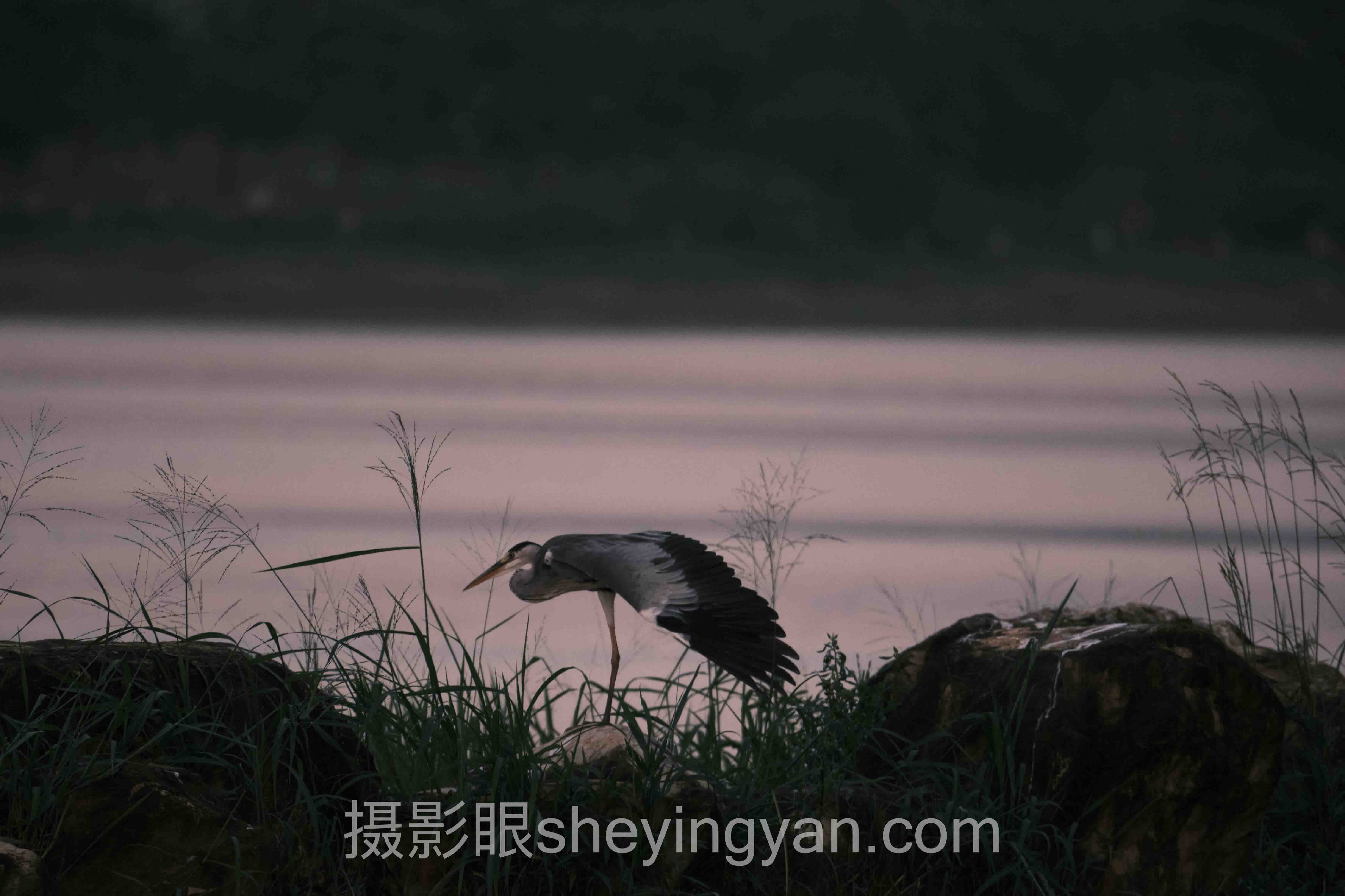 照片点评行业数据全景：7组数据揭示用户协议真相