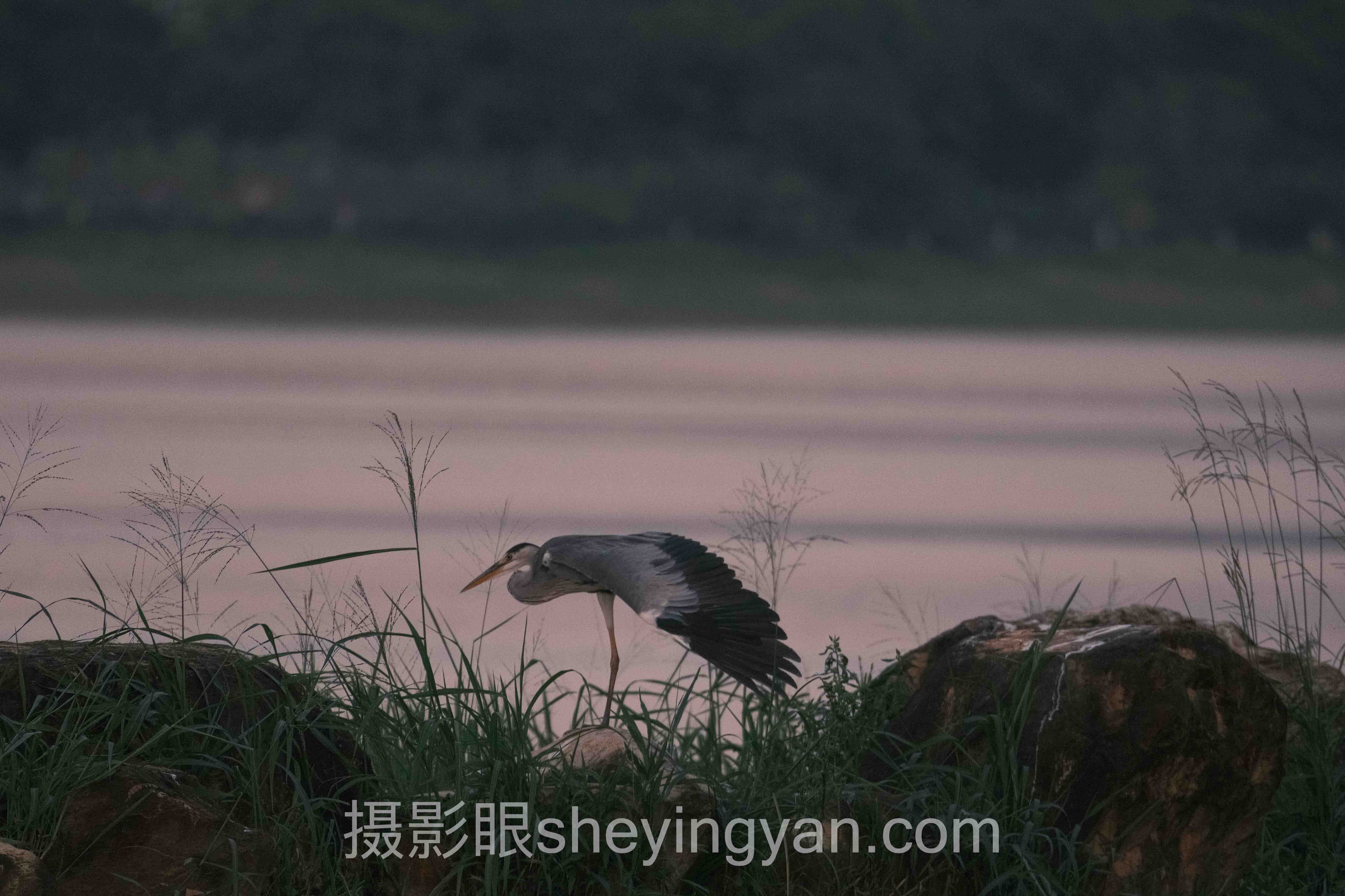 摄影眼在线自测