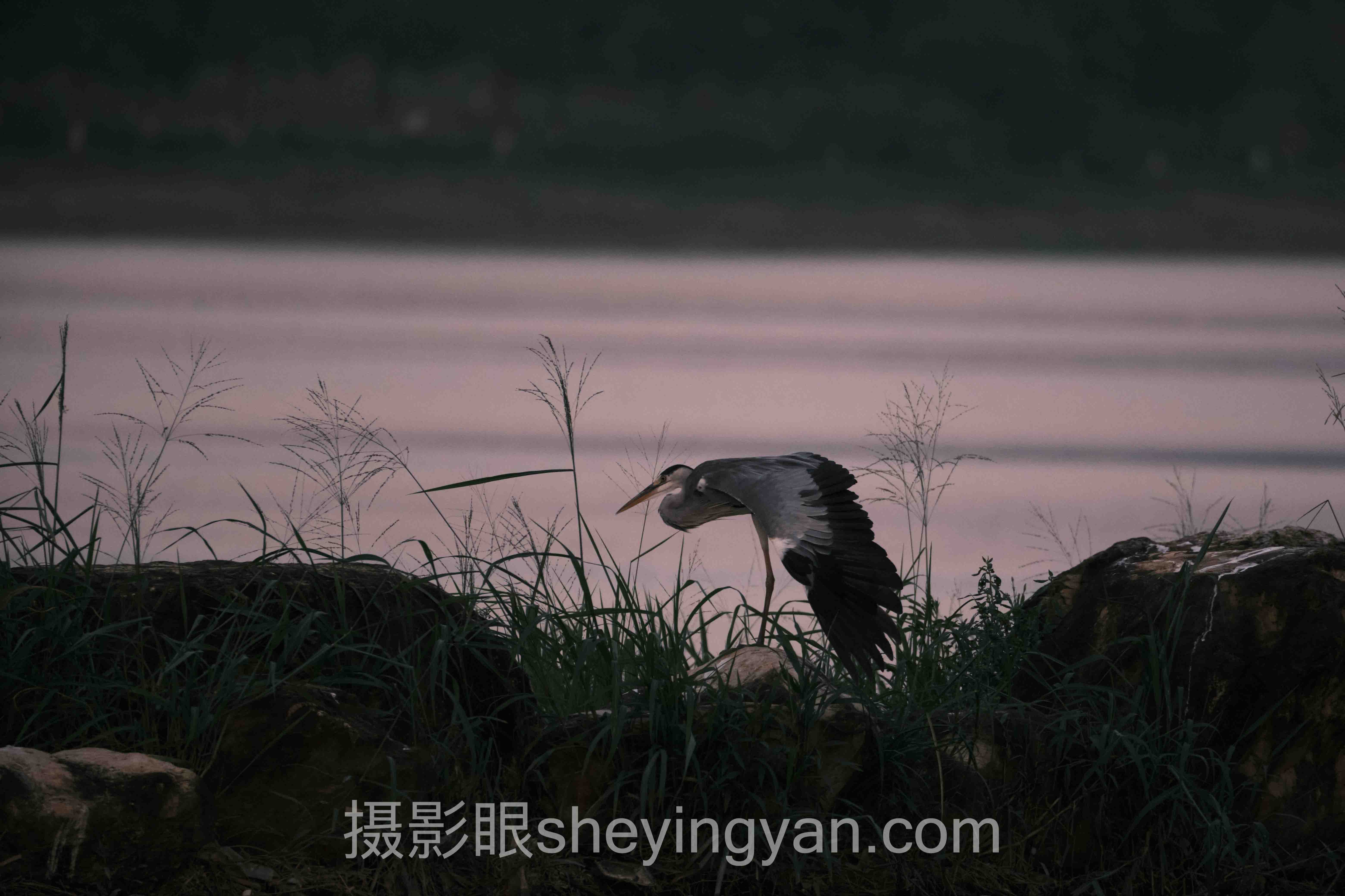 摄影眼照片点评sheyingyan.com