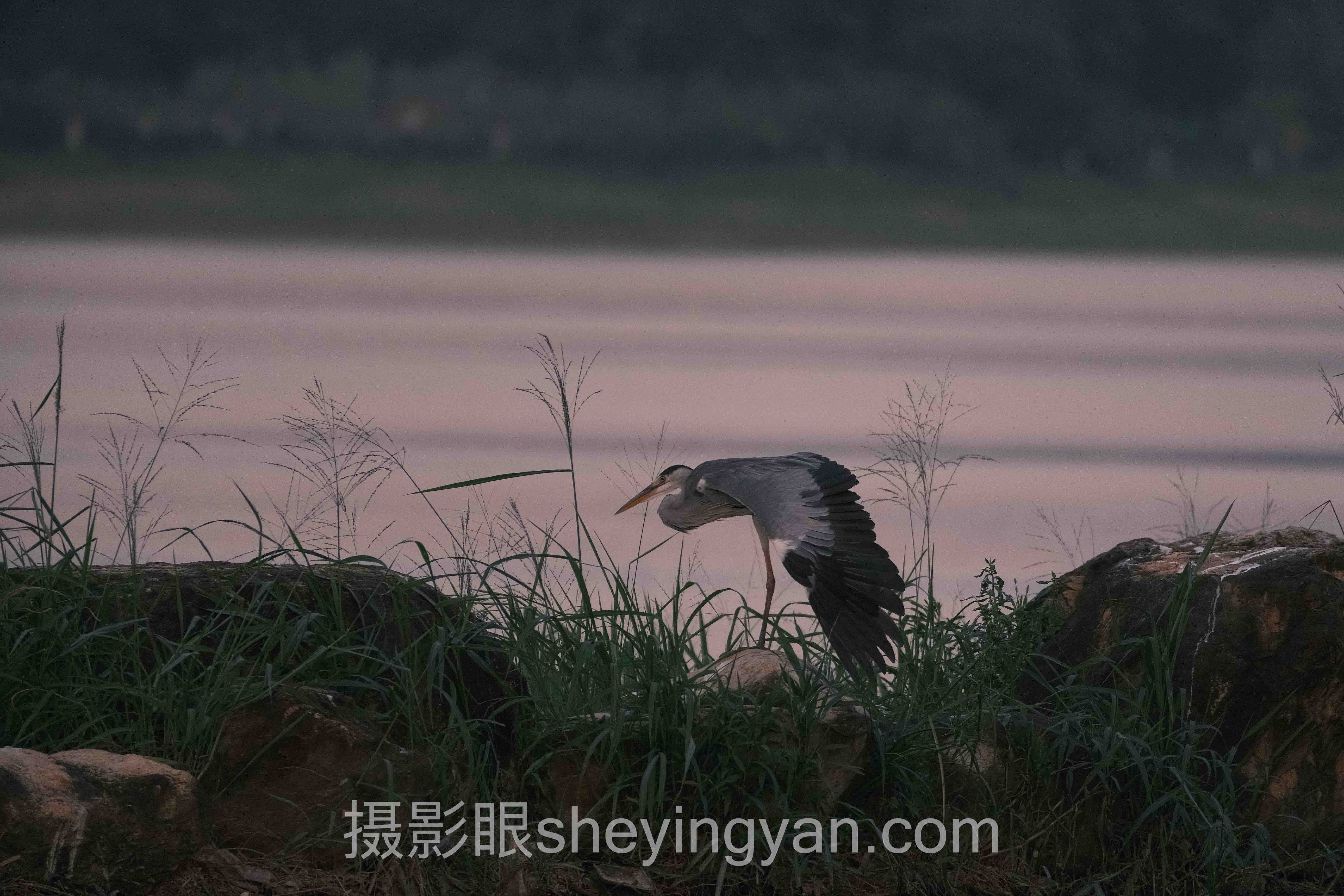 对话行业专家：摄影眼测试题目的关键洞察与前瞻