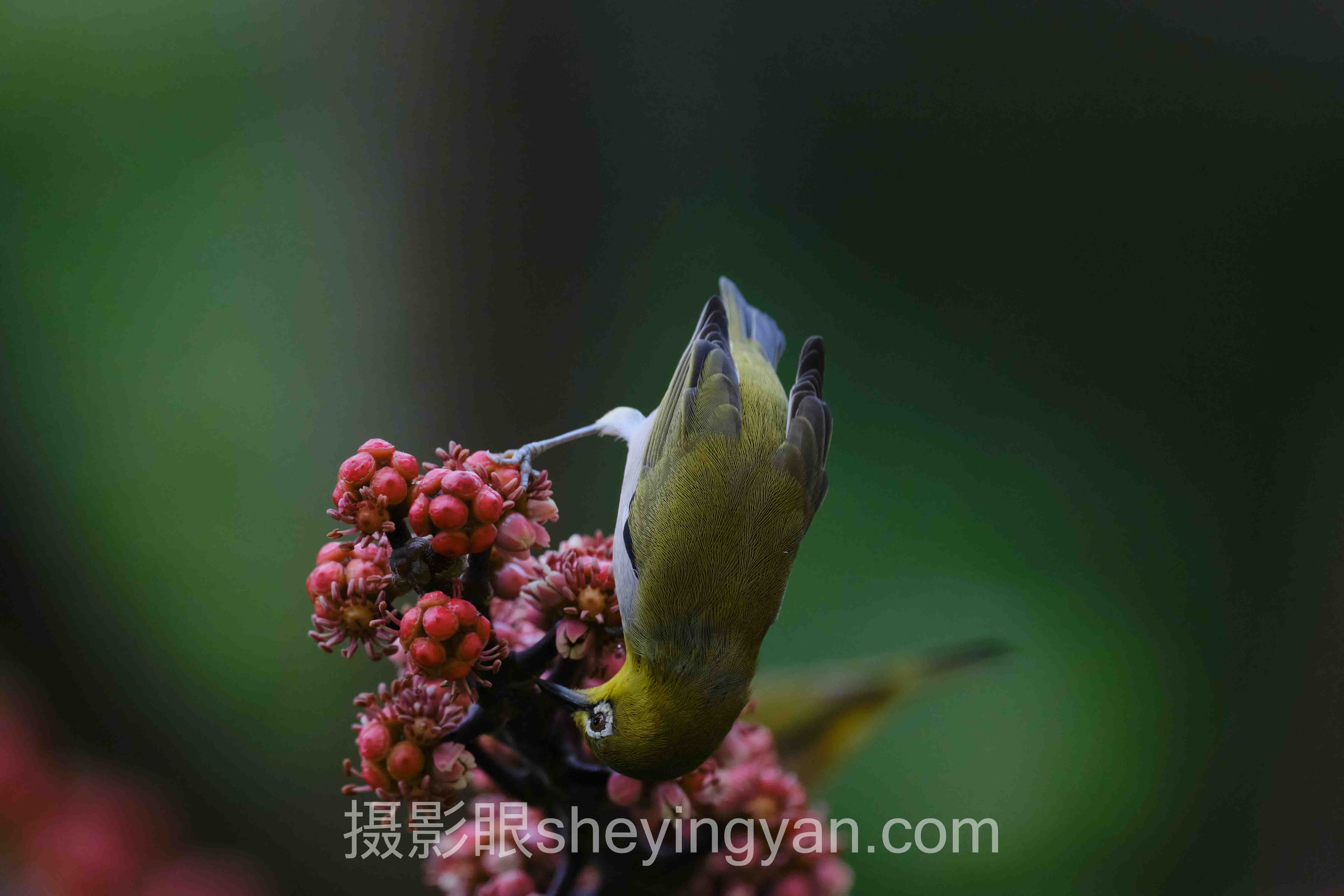 关于自拍角度怎么选的5个关键问题，一次说清