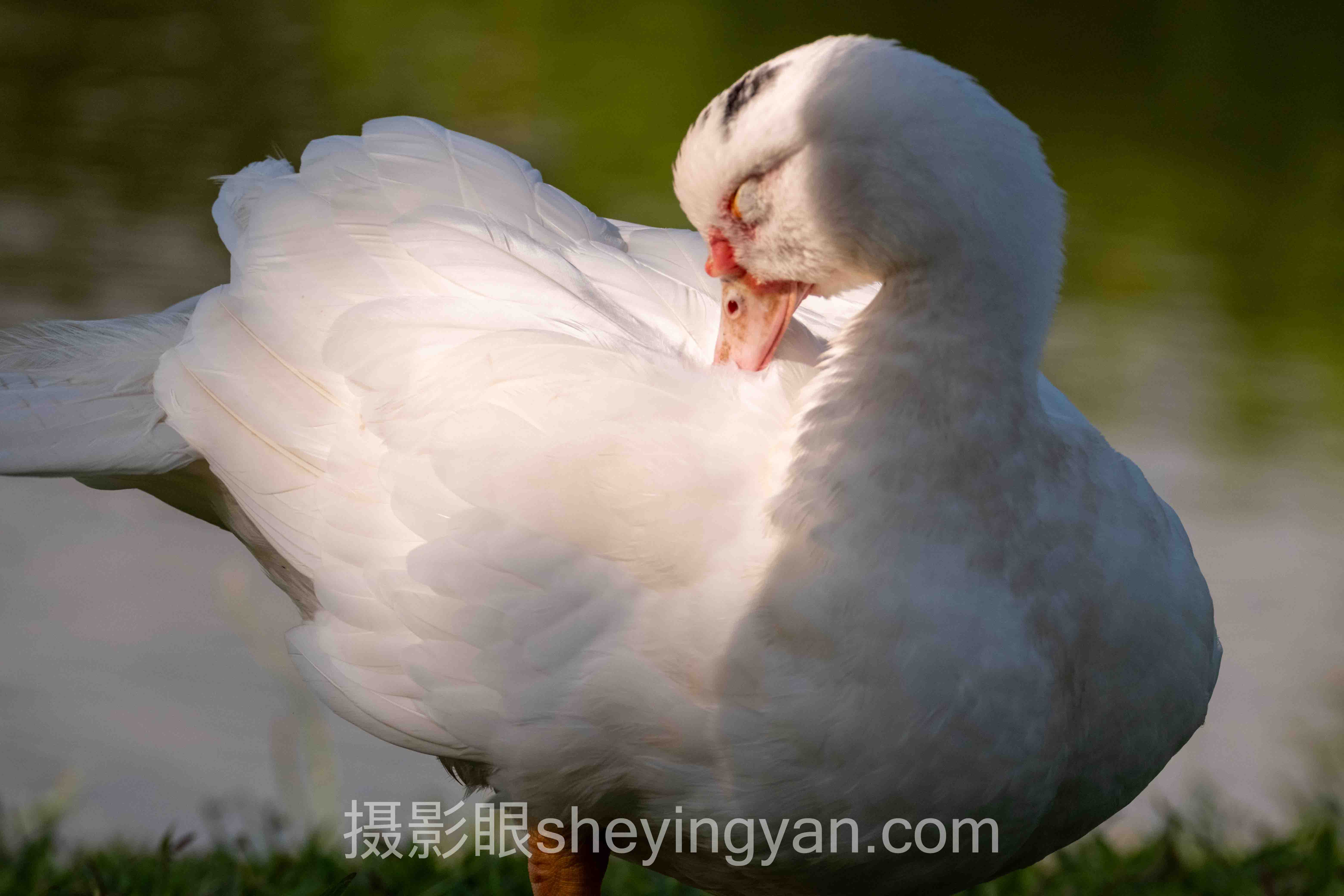 为什么说摄影眼教学视频是新手最快的入门捷径