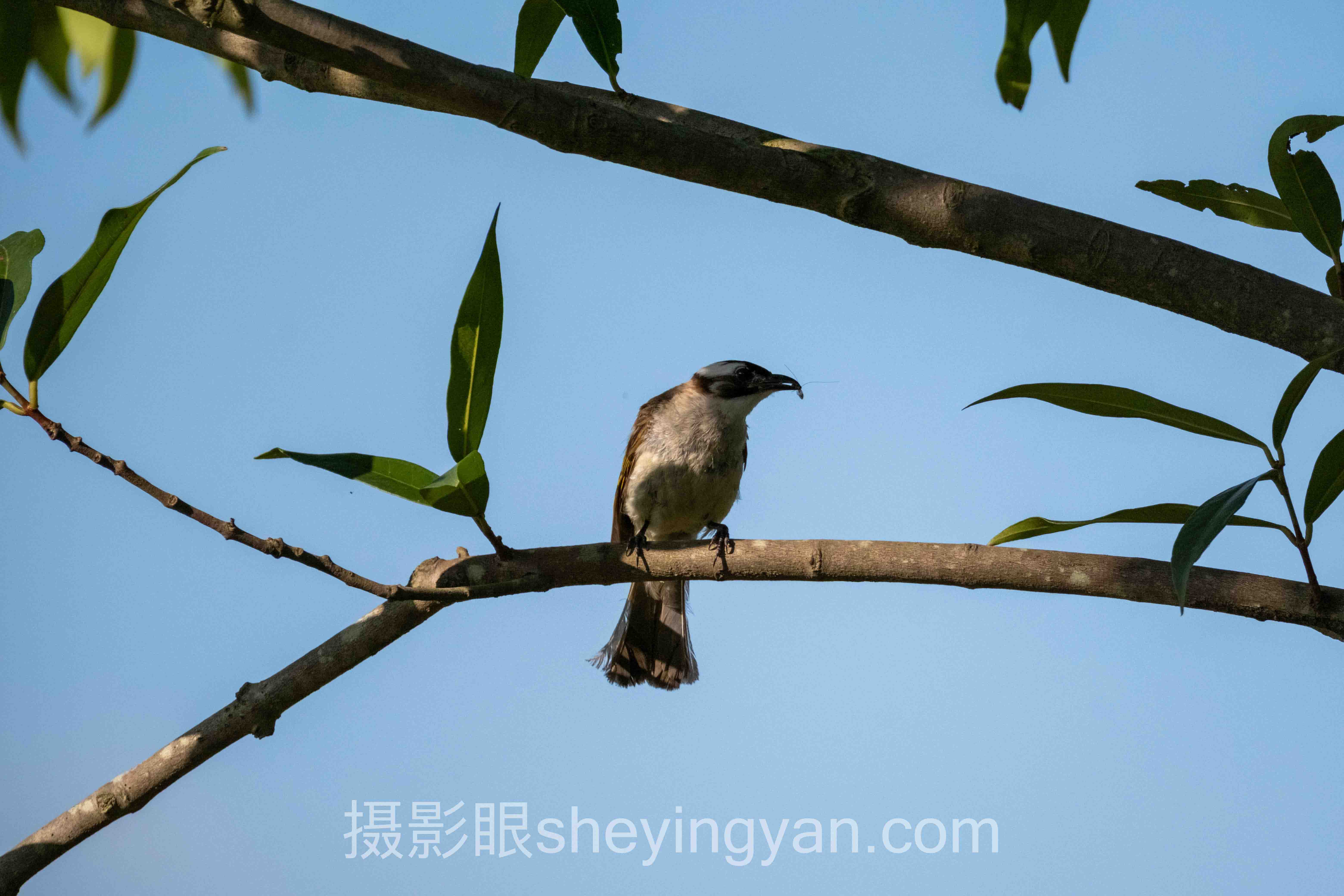 选摄影审美在线课程不踩坑：6维度实测对比指南