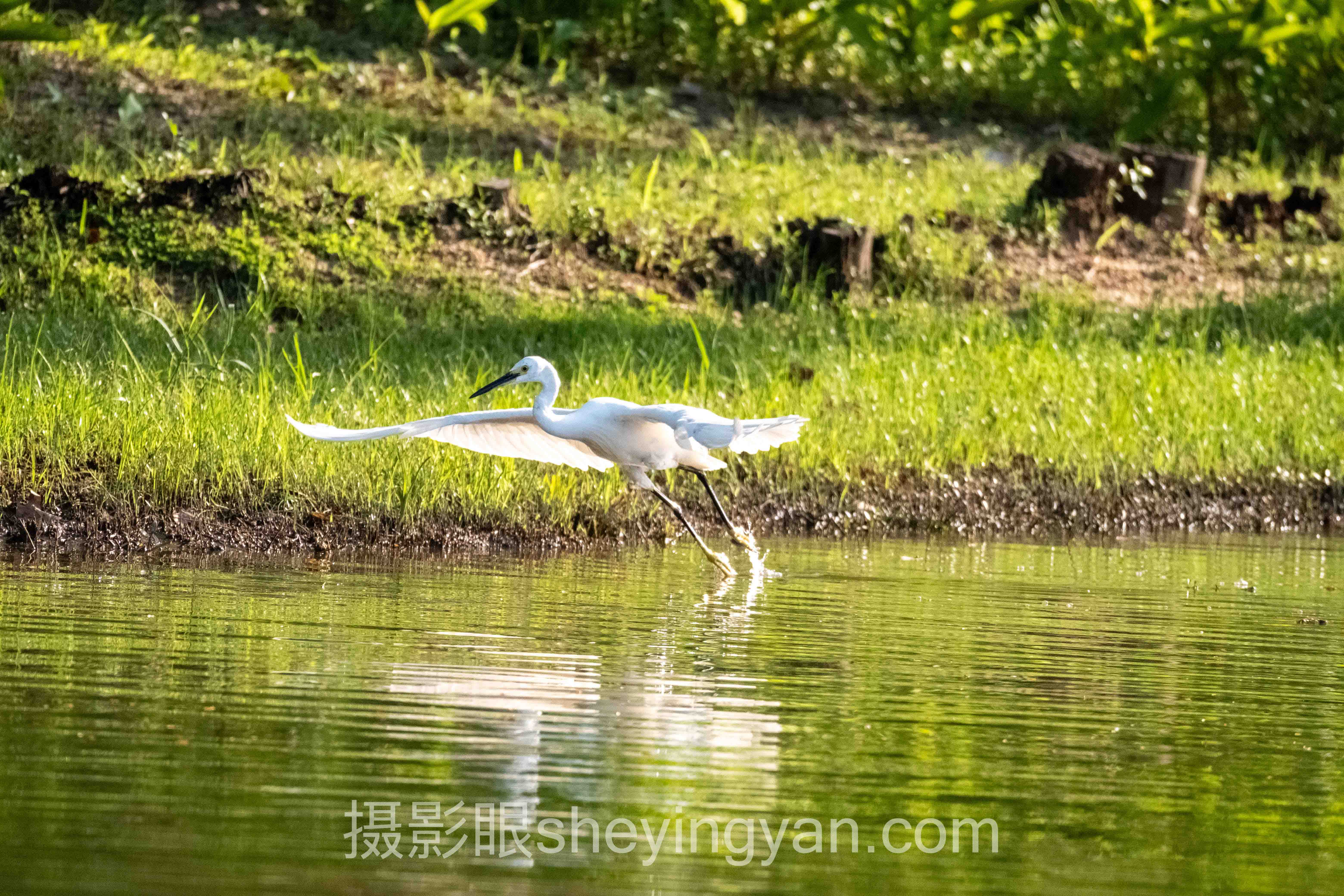 视觉中国签约避坑指南：7个关键要点全梳理